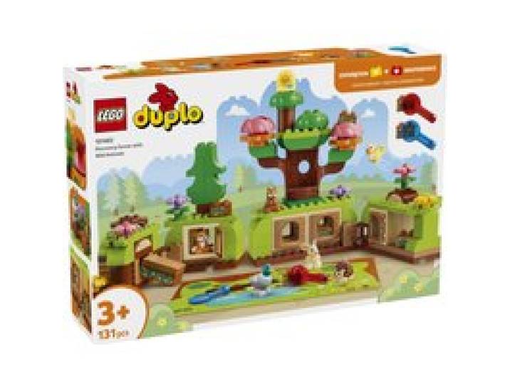 10480 Wald mit wilden Tieren