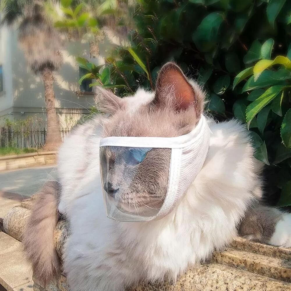 INF Transparente Katzenmaske: Beißschutz, Kratzschutz, Maulkorb für die Fellpflege M