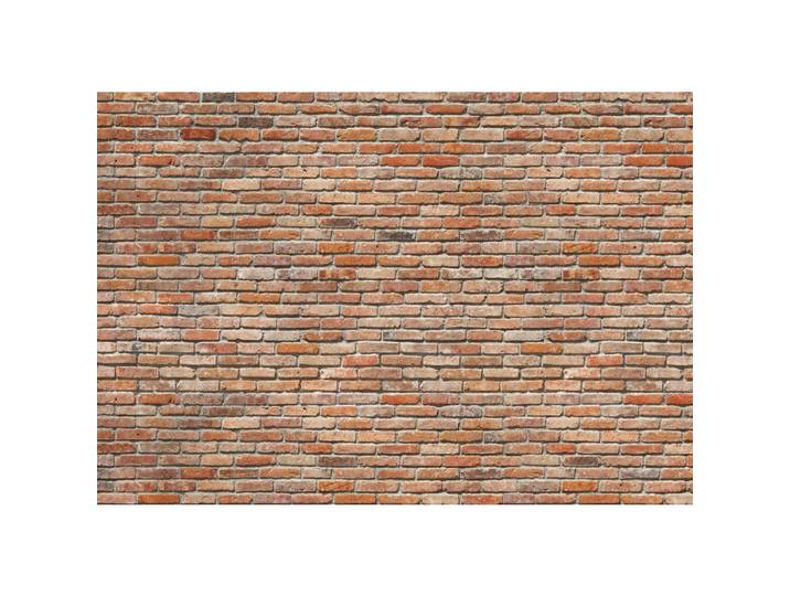 Fototapete Backstein, Terracotta, Papier, Mauer, 368x254 cm, Fsc, Made in Germany, Tapeten & Wandverkleidungen, Fototapeten