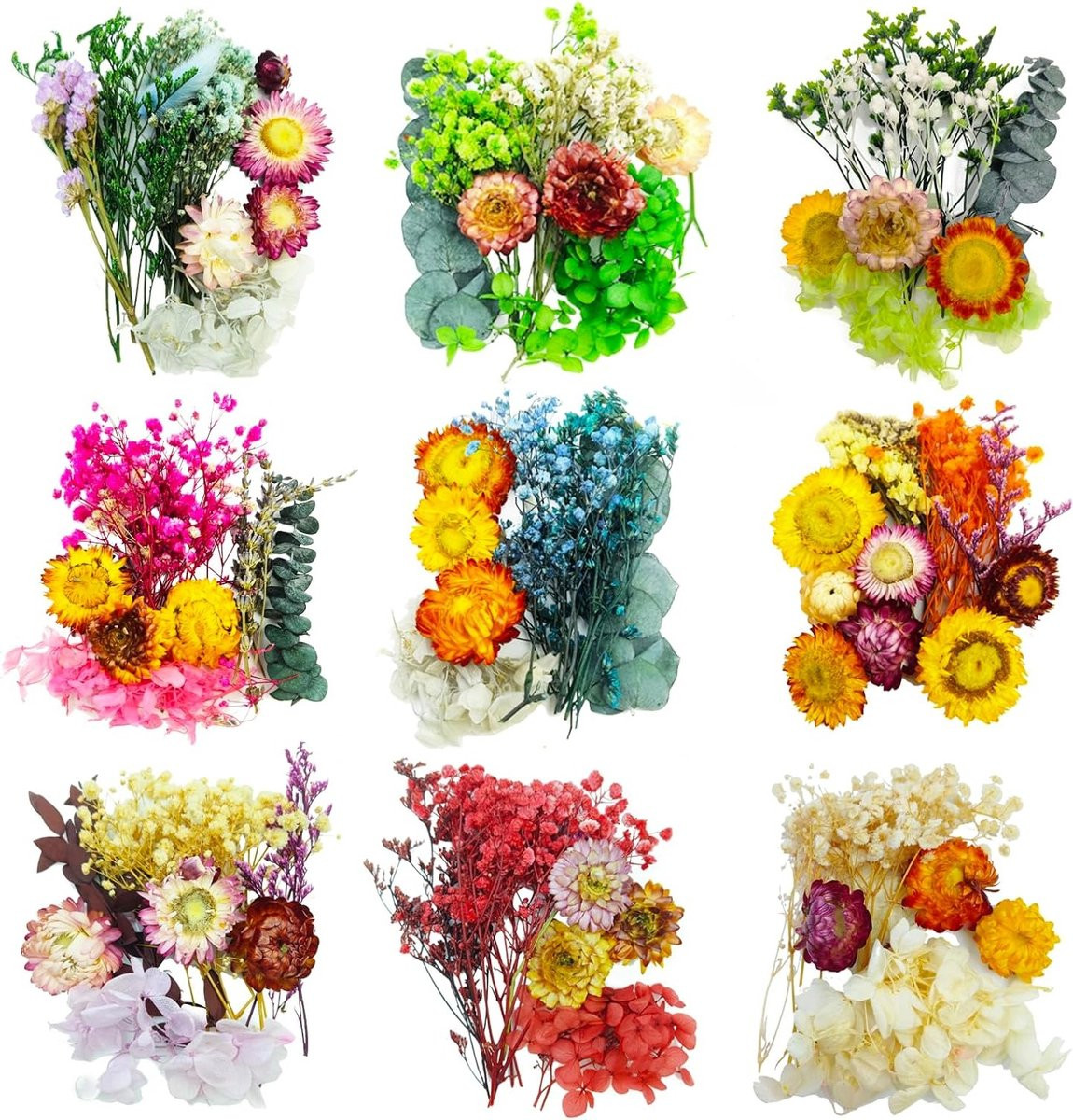 Mini Gedroogde Bloemen - 9 Zakjes Natuurlijke Kleine Bloemen voor Ambacht en DIY Hobby