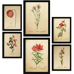 POSTER Set Mit 6 Rote Blumen Vollfarbige Blumenmotiven Im Vintage Papier Stil A3 & A4 Rahmenlos