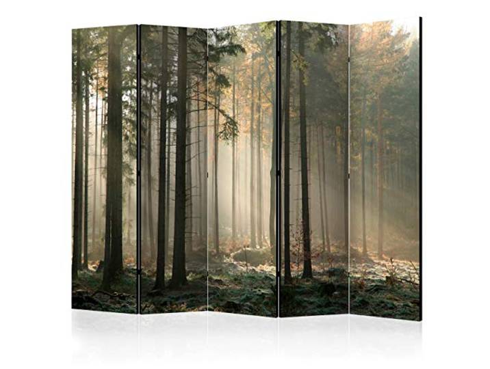 decomonkey Paravent Raumteiler Innen Wald, 225x172 cm, 5-teilig, Beidseitig Natur, Baum, Wohnzimmer, Room Divider, Wall, Raumteiler Stehend, Trennwand, Sichtschutz, Spanische Wand, Sichtschutzwand