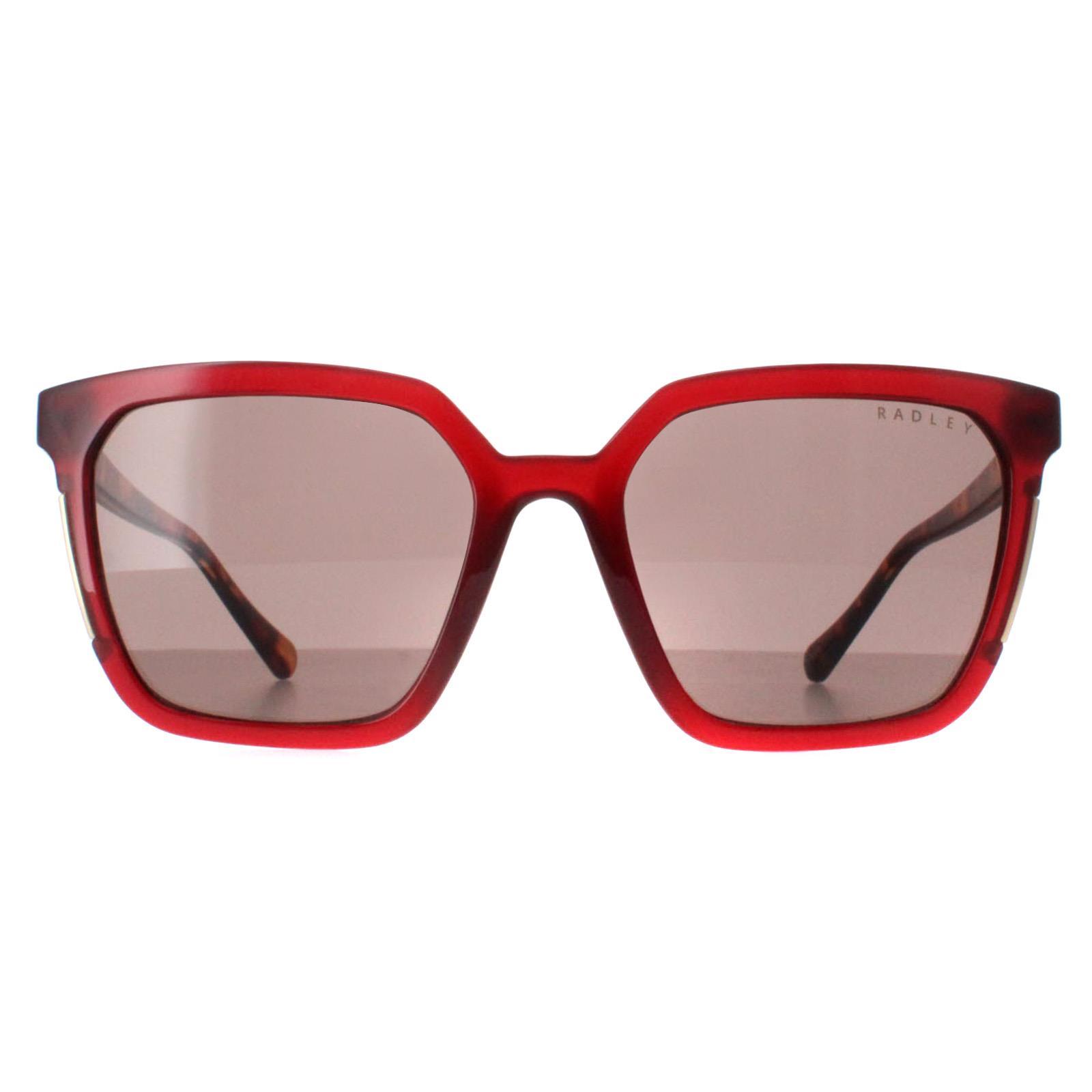 Radley Allington 6506 172A transparante bordeaux bruine zonnebril