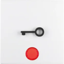 Berker Wippe pws Symbol Tür 16511969