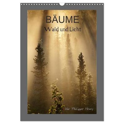 BÄUME (Wandkalender 2027 DIN A3 hoch), CALVENDO Monatskalender