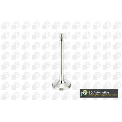 BGA Auslassventil V991760 für VW