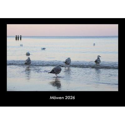 Möwen 2026 Fotokalender DIN A3