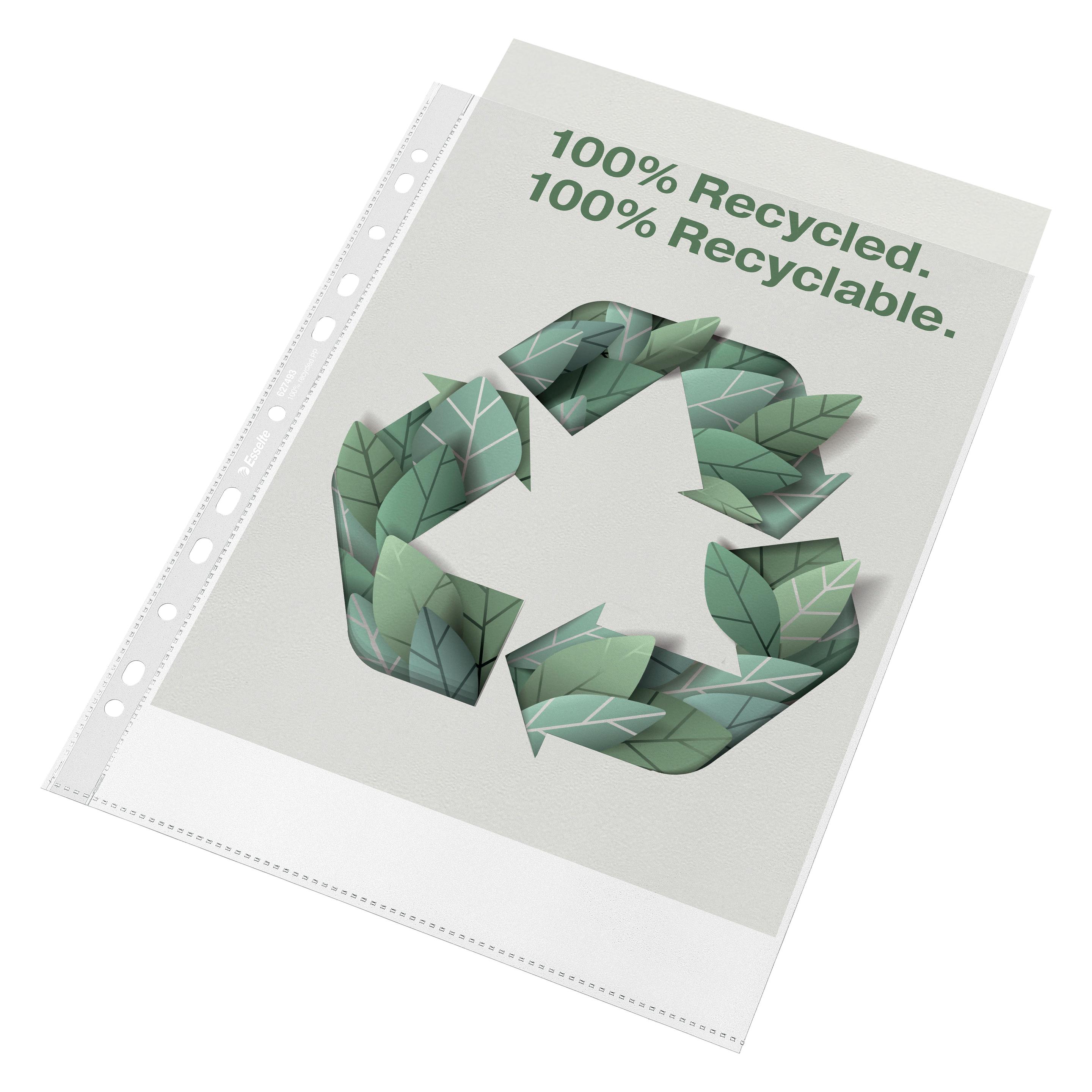 Esselte Prospekthülle 100% recycelt A4 (A4, 100x) (627493)