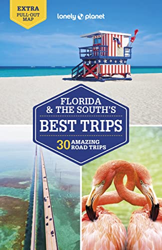 Adam Karlin - Lonely Planet Florida & the South's Best Trips 4: 28 Amazing Road Trips (Road Trips Guide) - Preis vom 30.09.2026 22:30:23 h