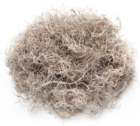 Dschungelgras, natur, 50 g