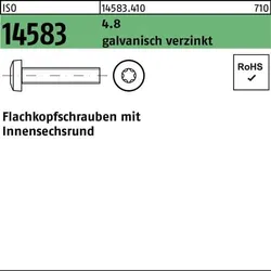 Flachkopfschraube ISO 14583 ISR M3x6 4.8 galv.verz. 200St.