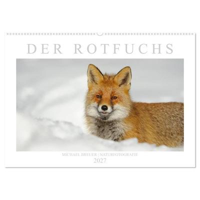 Der Rotfuchs (Wandkalender 2027 DIN A2 quer), CALVENDO Monatskalender