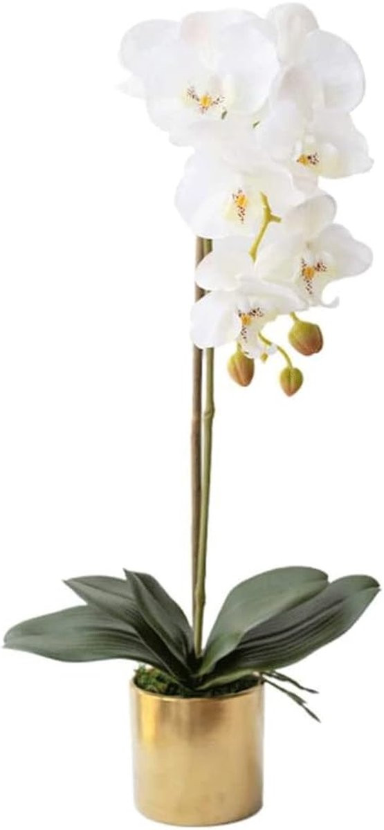 Kunstorchidee Phalaenopsis Wit - Realistische Zijden Nepbloemen - 60 cm