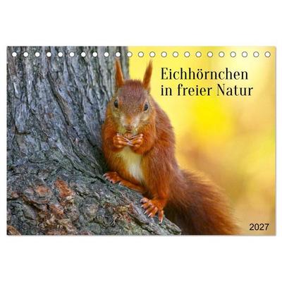 Eichhörnchen in freier Natur (Tischkalender 2027 DIN A5 quer), CALVENDO Monatskalender