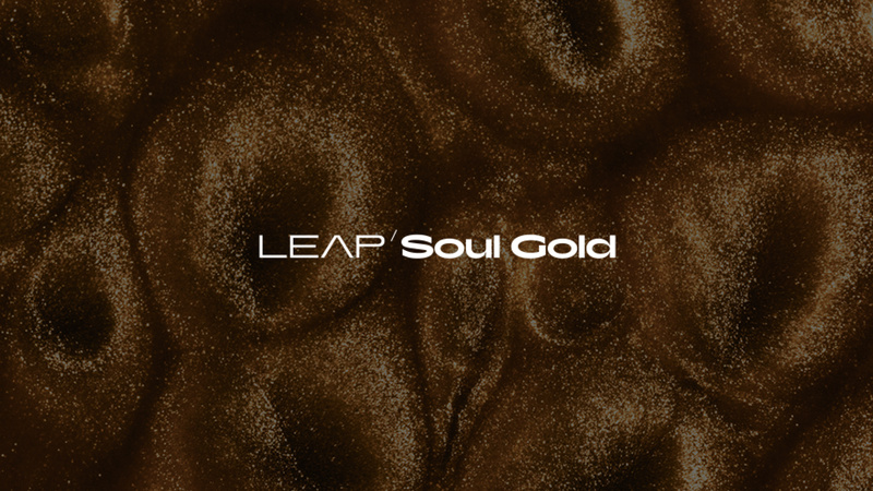 Native Instruments Leap Expansion Soul Gold