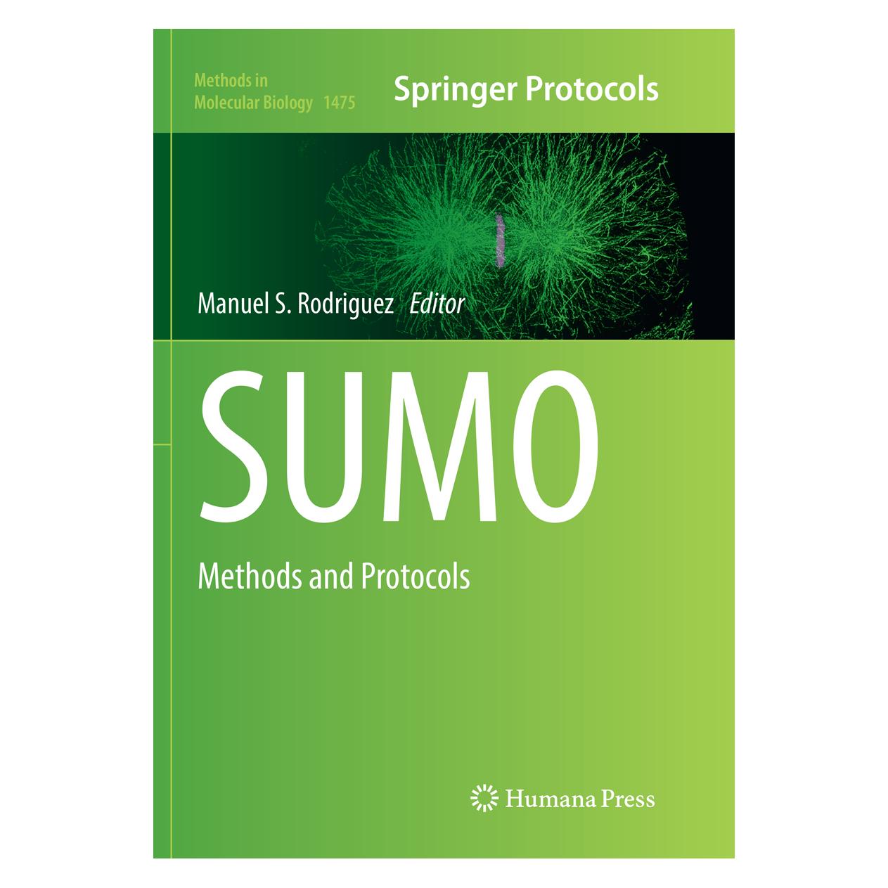 Springer Sumo (Englisch, Softcover, Manuel S. Rodriguez) (56003089)