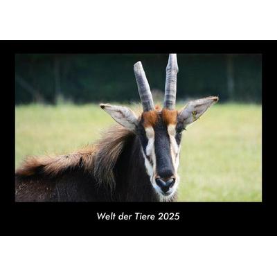 Welt der Tiere 2025 Fotokalender DIN A3