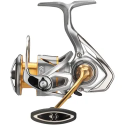 Daiwa 21 Freams LT 2500-XH Spinnrolle