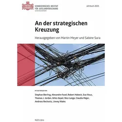An der strategischen Kreuzung, Fachbücher von Martin Meyer, Sabine Sura