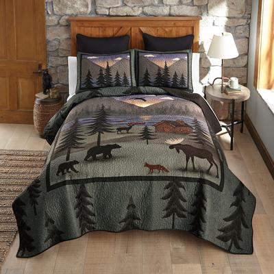 Donna Sharp Wild Retreat Quilt Collection