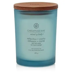 Chesapeake Bay Reflection + Clarity Duftkerze 250 g