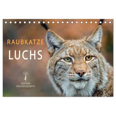 Raubkatze Luchs (Tischkalender 2026 DIN A5 quer), CALVENDO Monatskalender