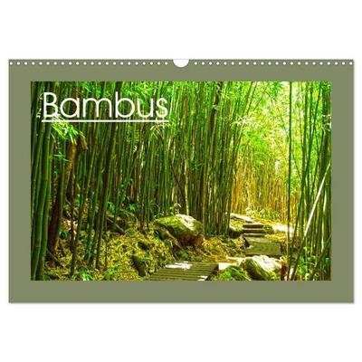 Bambus (Wandkalender 2027 DIN A3 quer), CALVENDO Monatskalender