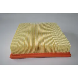 ELMAG Luftfilter für LOMBARDINI-Motor - 9503564