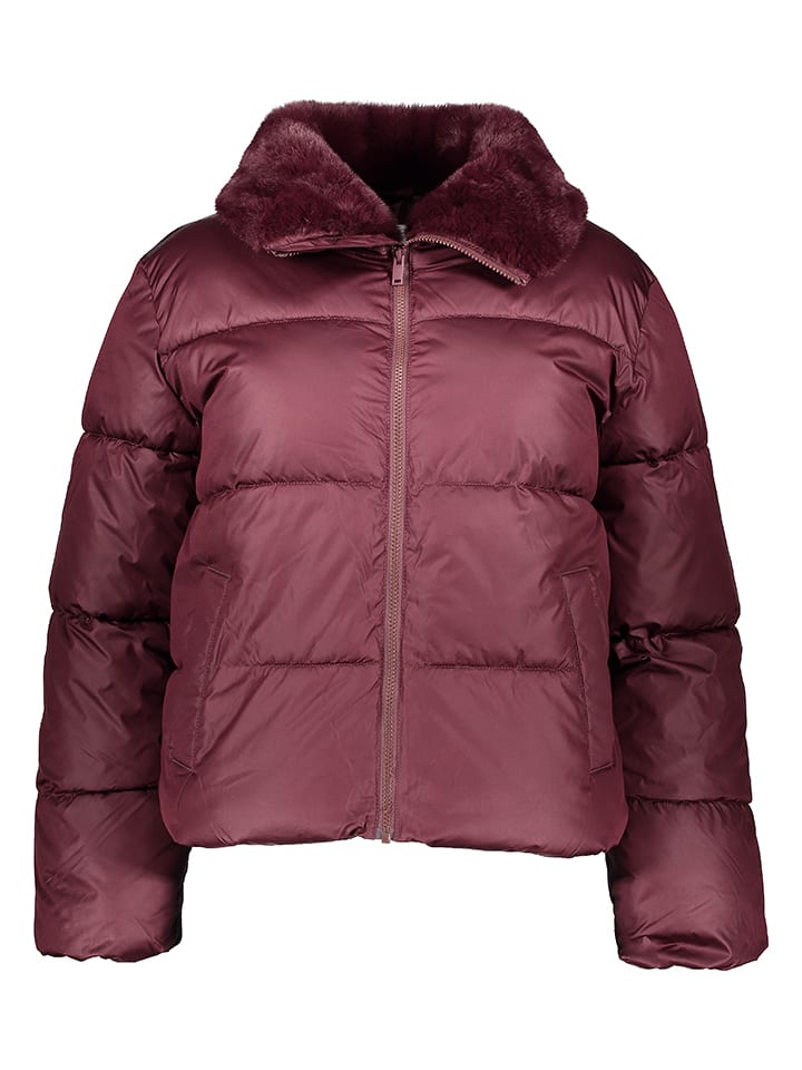 GAP Winterjacke in Bordeaux - XS
