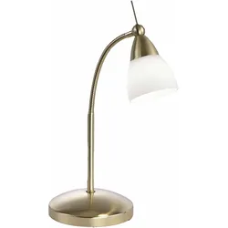 Paul Neuhaus, Tischlampe, messing matt LEDTischleuchte 3000K 3W (265 lm, G9)