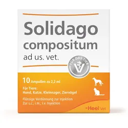 SOLIDAGO COMPOSITUM ad us.vet.Ampullen 10 St