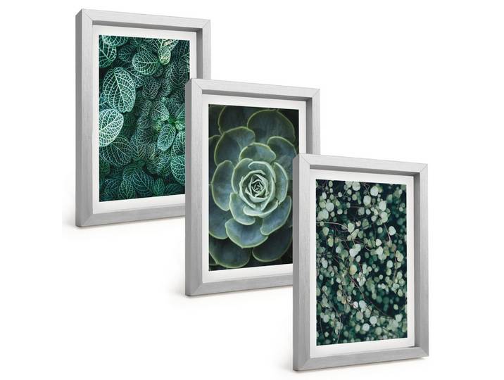 BILDER SET 3er Set - 20x30 cm Silberner Rahmen - Sukkulenten