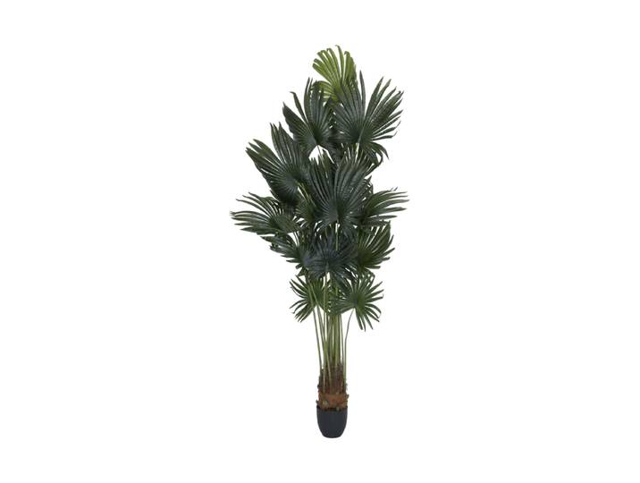 Lebensechte Kunstpflanze „Palm Tree Tuft“, verschiedene Grössen Grün Baq Design