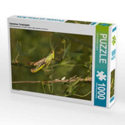 CALVENDO Puzzle Gemeiner Grashüpfer | 1000 Teile Lege-Größe 64x48cm Foto-Puzzle für glückliche Stunden