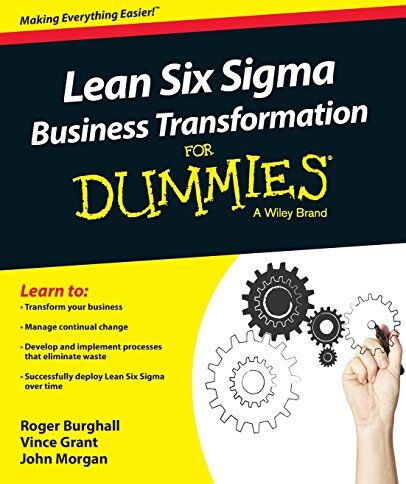 Roger Burghall - Lean Six Sigma Business Transformation For Dummies - Preis vom 10.10.2026 11:48:34 h