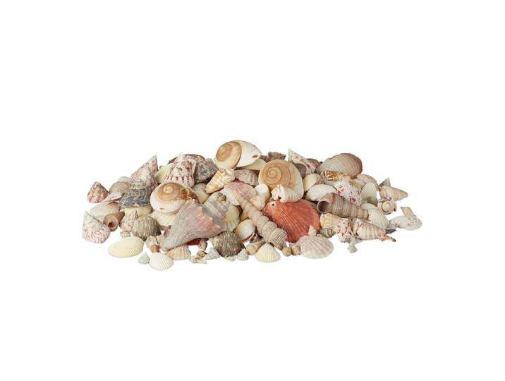 Muschel Deko mit Meeresschnecken 2kg Creme-Hellbraun-Rosa