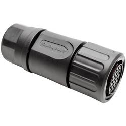 Amphenol RTS 6BS 14N 19S03 Rundstecker Kupplung, gerade Gesamtpolzahl: 19 Serie (Rundsteckverbinder): Ecomate Aquarius 1 St.