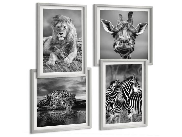 BILDER SET 4er Set - 50x50 cm & 40x60 cm Silberner Rahmen - Wildtiere Löwe Jaguar Giraffe Zebras