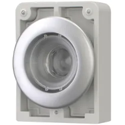 Eaton 182941 Leuchtdrucktaste, RMQ-Titan, flach, tastend, Frontring Metall M30C-FDL-X
