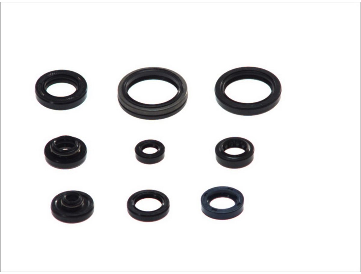 Motorsimmerringsatz ATHENA P400510400140