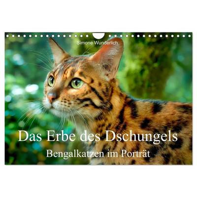 Das Erbe des Dschungels - Bengalkatzen im Porträt (Wandkalender 2027 DIN A4 quer), CALVENDO Monatskalender