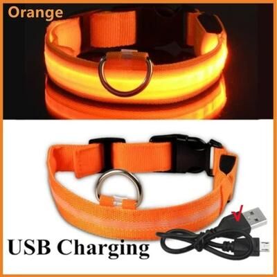 Uplift Essentials LED Glowing Dog Collar Adjustable Night Safety Luminous Collar orange m