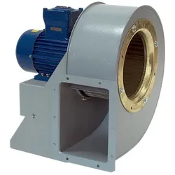 Maico Radialgebläse GRM HD 40/4-2 Ex