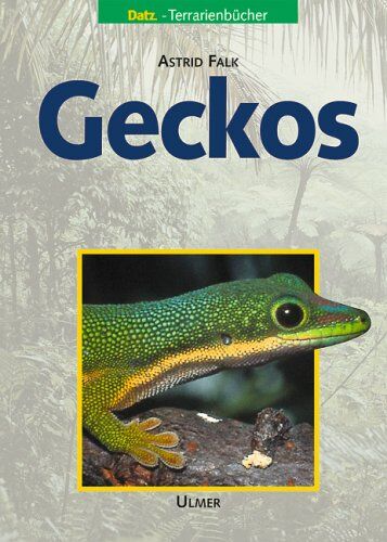 Astrid Falk - Geckos - Preis vom 09.10.2026 07:28:09 h