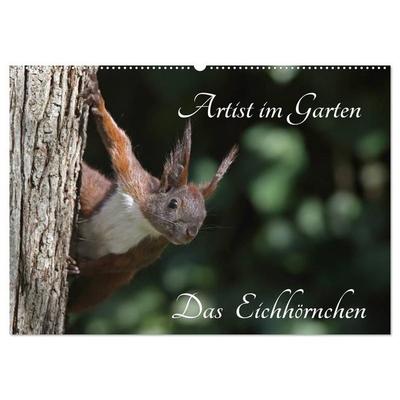 Artist im Garten. Das Eichhörnchen (Wandkalender 2027 DIN A2 quer), CALVENDO Monatskalender