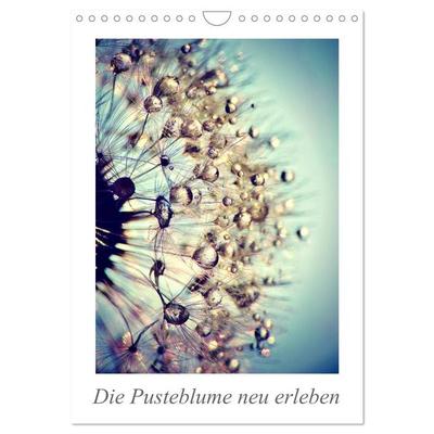 Die Pusteblume neu erleben (Wandkalender 2027 DIN A4 hoch), CALVENDO Monatskalender
