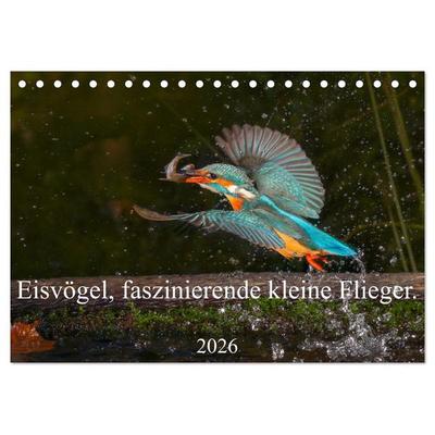 Eisvögel, faszinierende kleine Flieger. (Tischkalender 2026 DIN A5 quer), CALVENDO Monatskalender