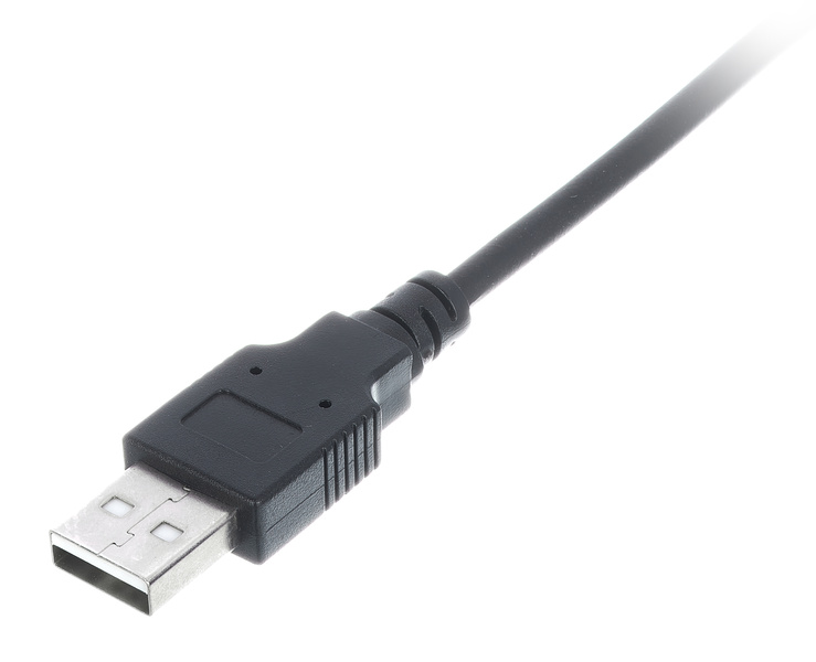 Ape Labs Cable IP Female / USB A Male Black
