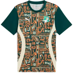 Puma, Herren, Fussballtrikot, voranstosstrikot côte d'ivoire 2024 (XS), Grün