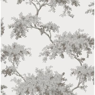Brewster Ashdown Grey Tree Wallpaper
